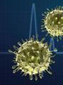 Topic: Viruses Viruses What or who is it?